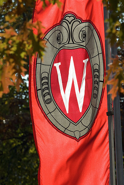 A "W" crest banner hangs amid tree leaves changing colors during autumn on Bascom Hill at the University of Wisconsin-Madison.