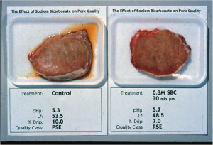 BICARB TREATED MEAT FOR PSE