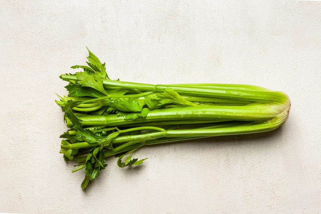 A celery rib.