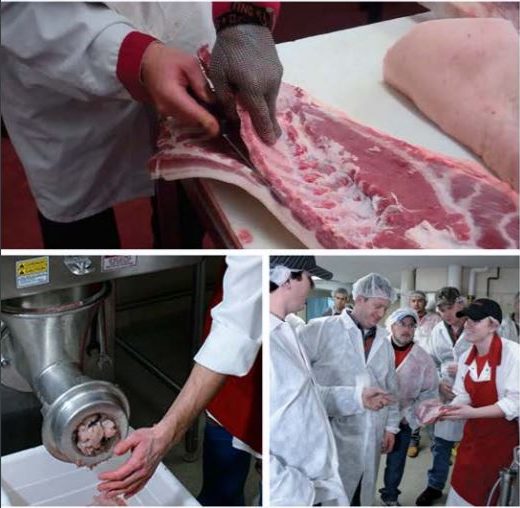 A collage of three pictures shows a pair of hands trimming a cut of meat, ground meat being dispensed by a meat grinder, and Amanda King demonstrating something to a group of people in a processing room during an Extension event.