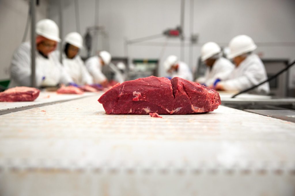 A piece of raw meat sits on a conveyor belt with several workers in white coats and hard hats in the background.