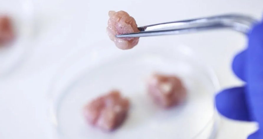 A photo of lab-grown meat from Getty Images.