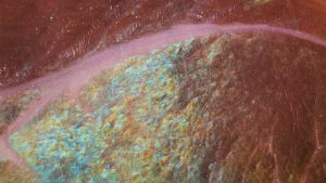 Not Just Red and White: Why Rainbows Appear on Deli Meats